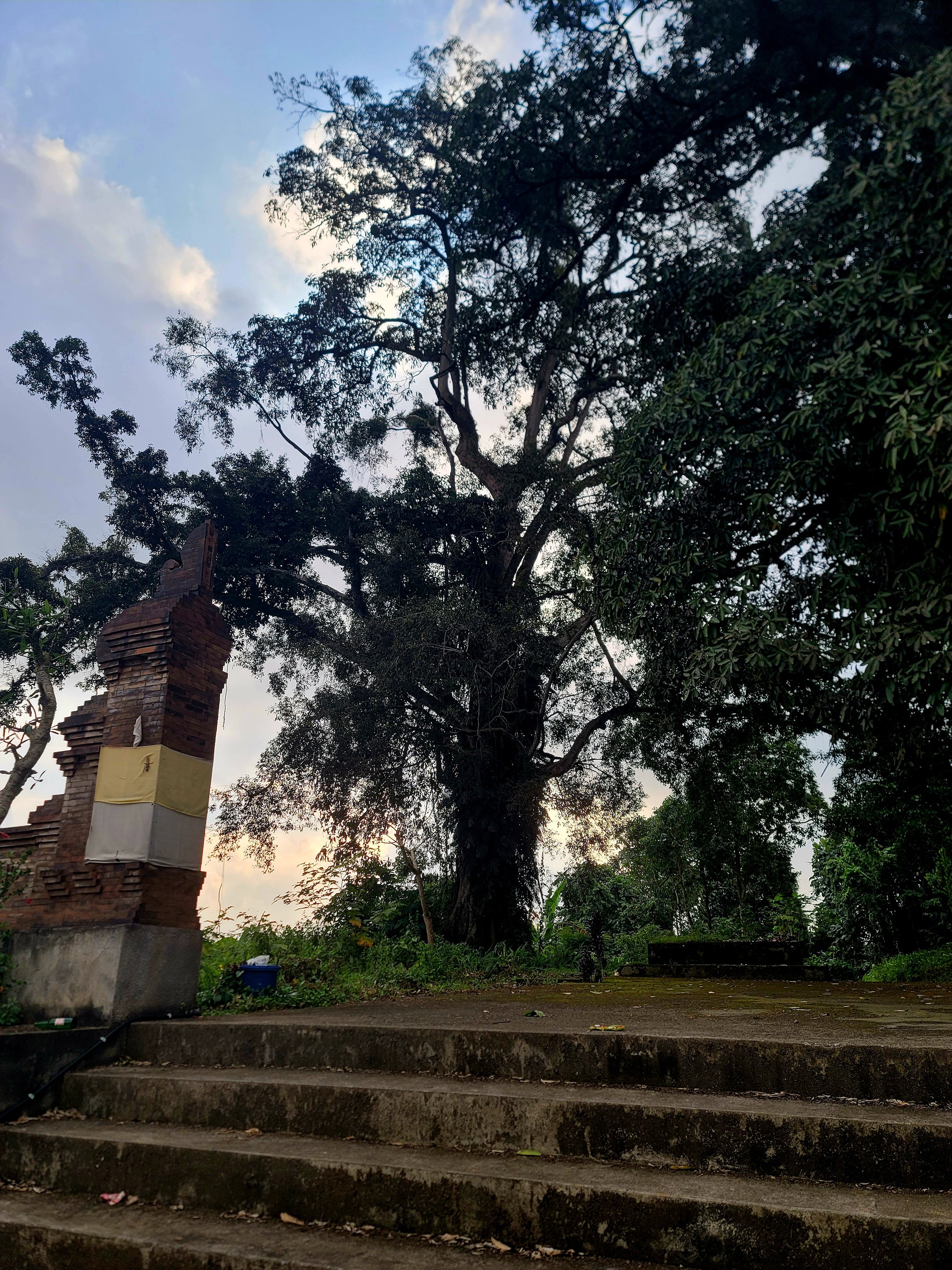The Mystic - Memory - Spirit / Tree Of Life