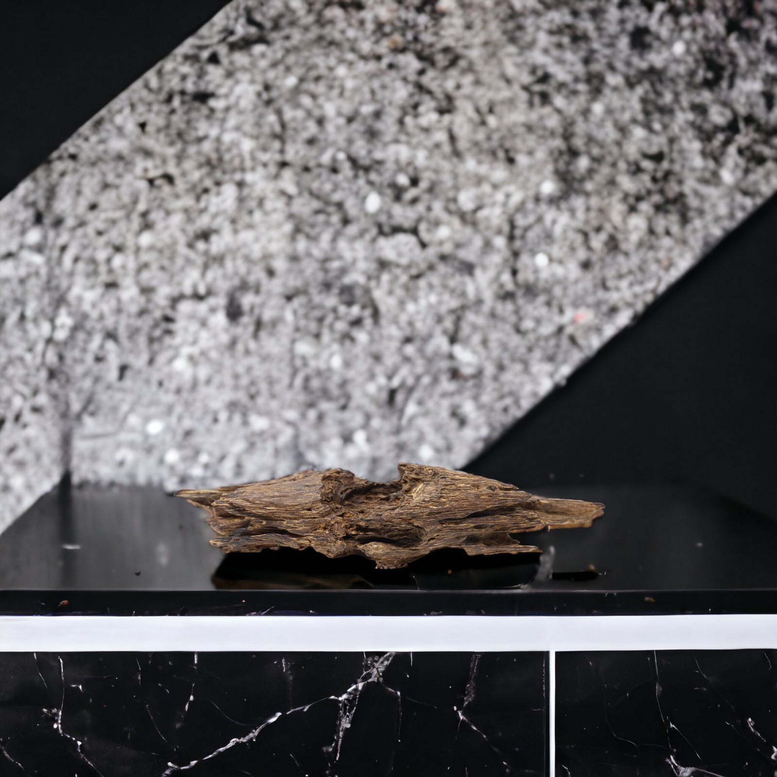 Single Display Grade Piece of Superior Wild Agarwood from Nha Trang Vietnam - theperfumist