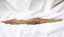 Superior Wild Hainan Agarwood Shu Xin Yu Display
