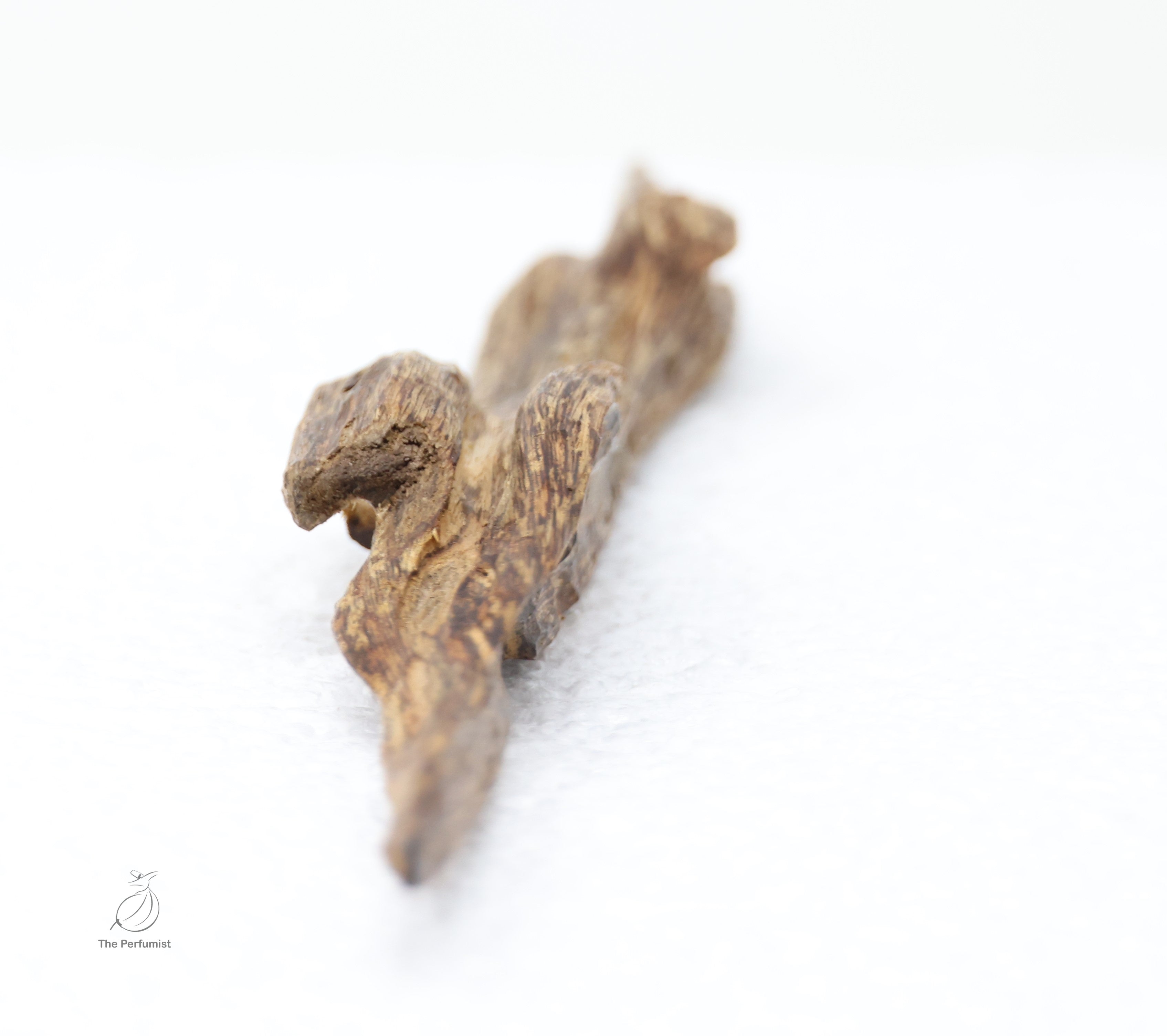 Superior wild Hainan agarwood “Shu Xin Yu” display Quality - theperfumist