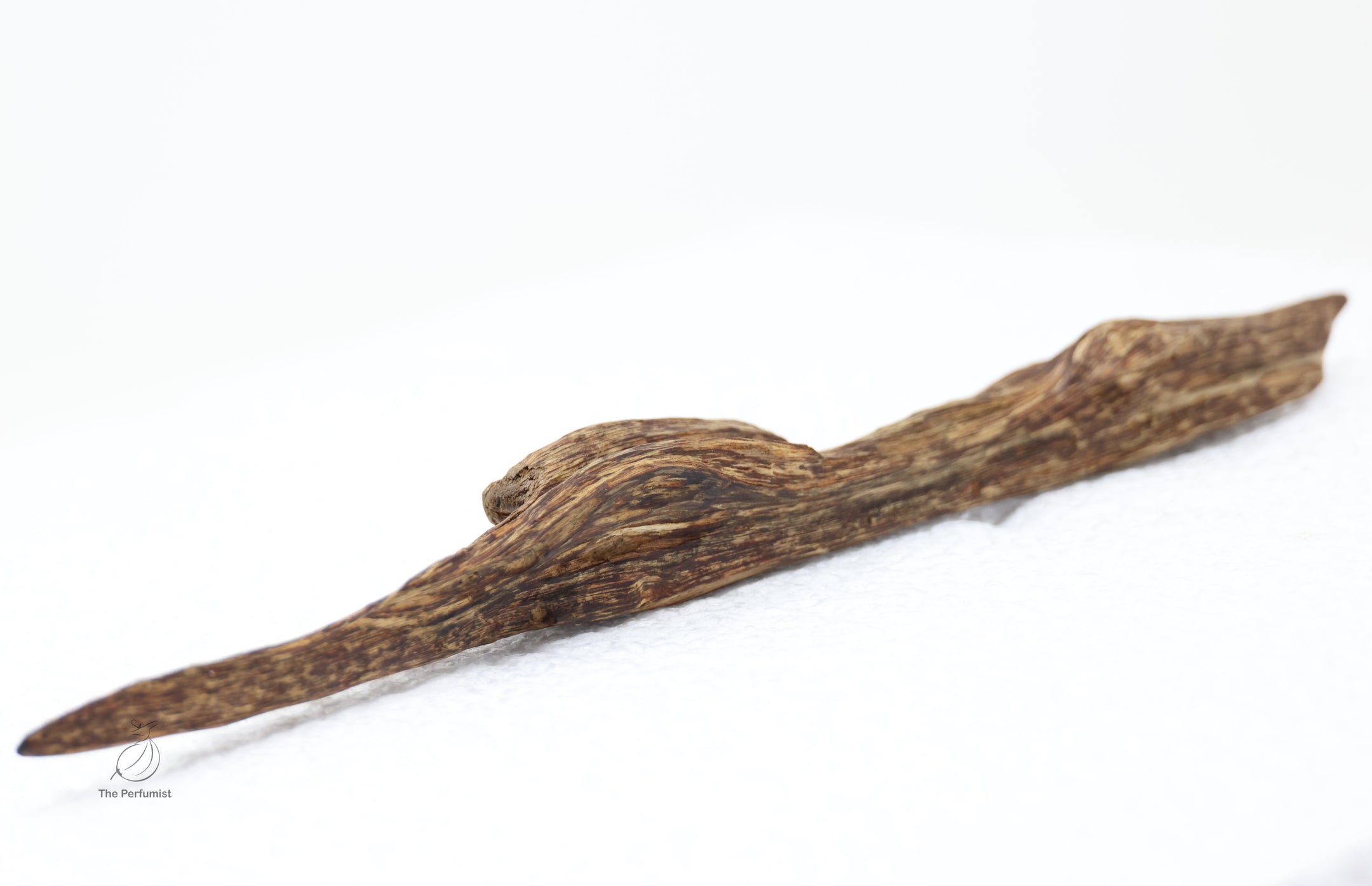 Superior Wild Hainan Agarwood Shu Xin Yu Rare Display