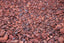 Dragon Blood From The Island Of Socotra Natural Resin