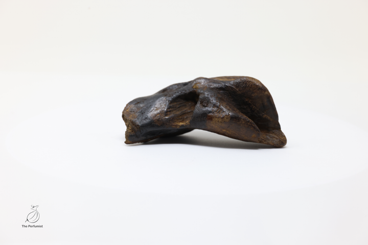 Rare Wild Cambodian Agarwood Heart Of The Tree Premium Resin