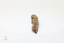 Ancient Wild Nha Trang Kinam Kyara Natural Aromatic Root