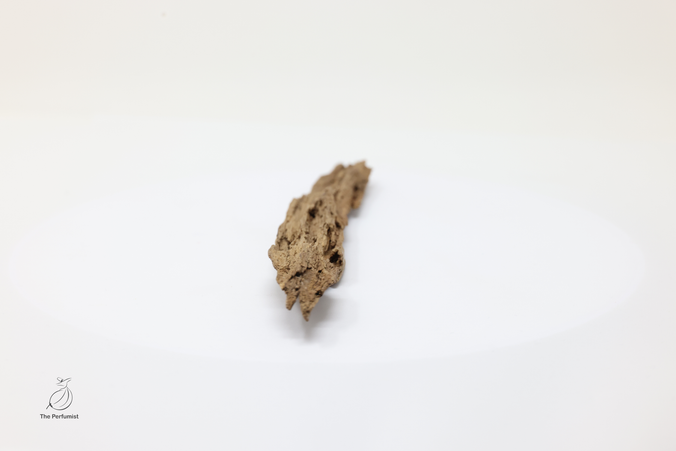 Ancient Wild Nha Trang Kinam Kyara Luxury Resin Specimen