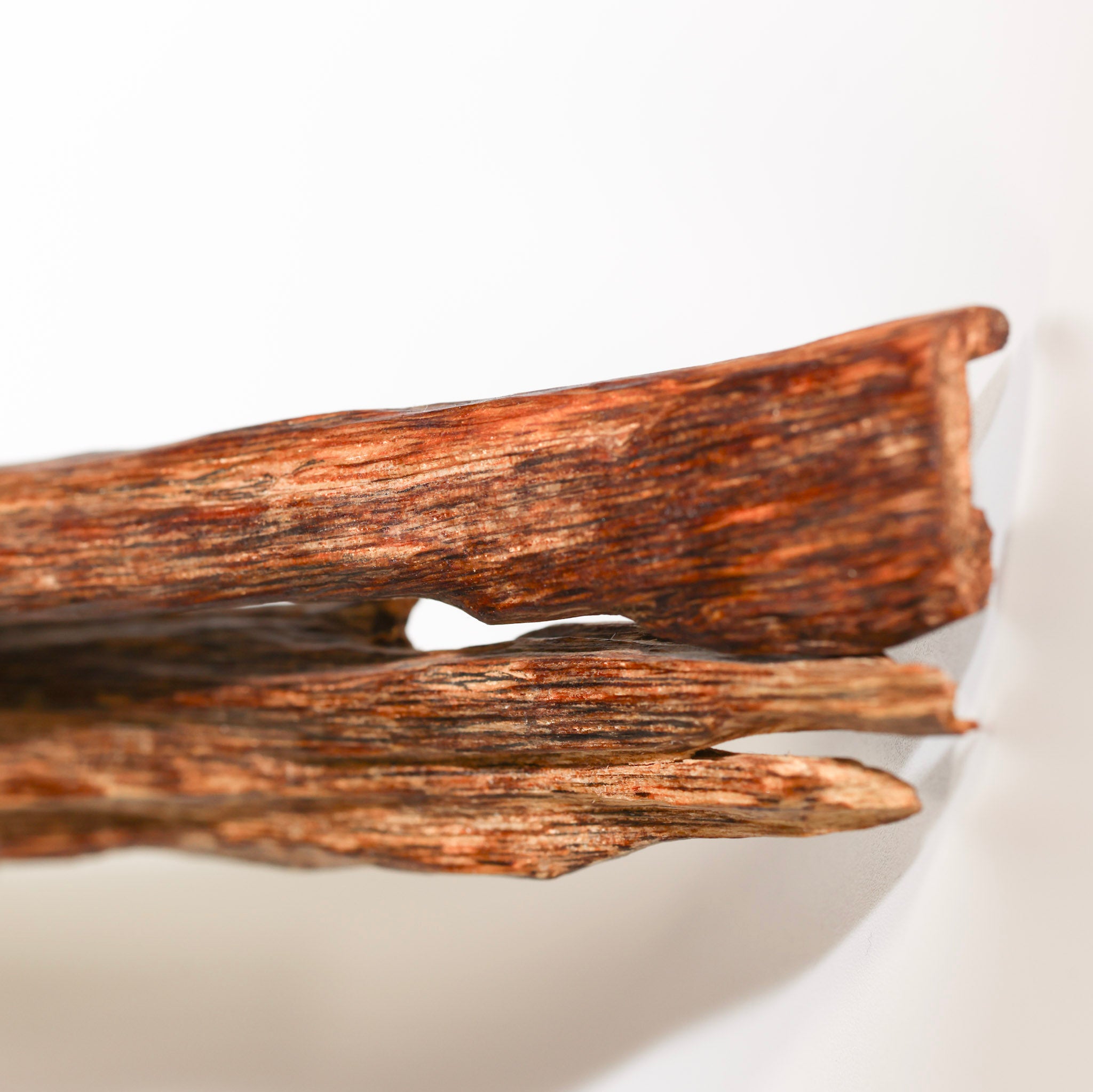 100% Untouched Natural Ethical Indian Agarwood Rare Aromatic Resin