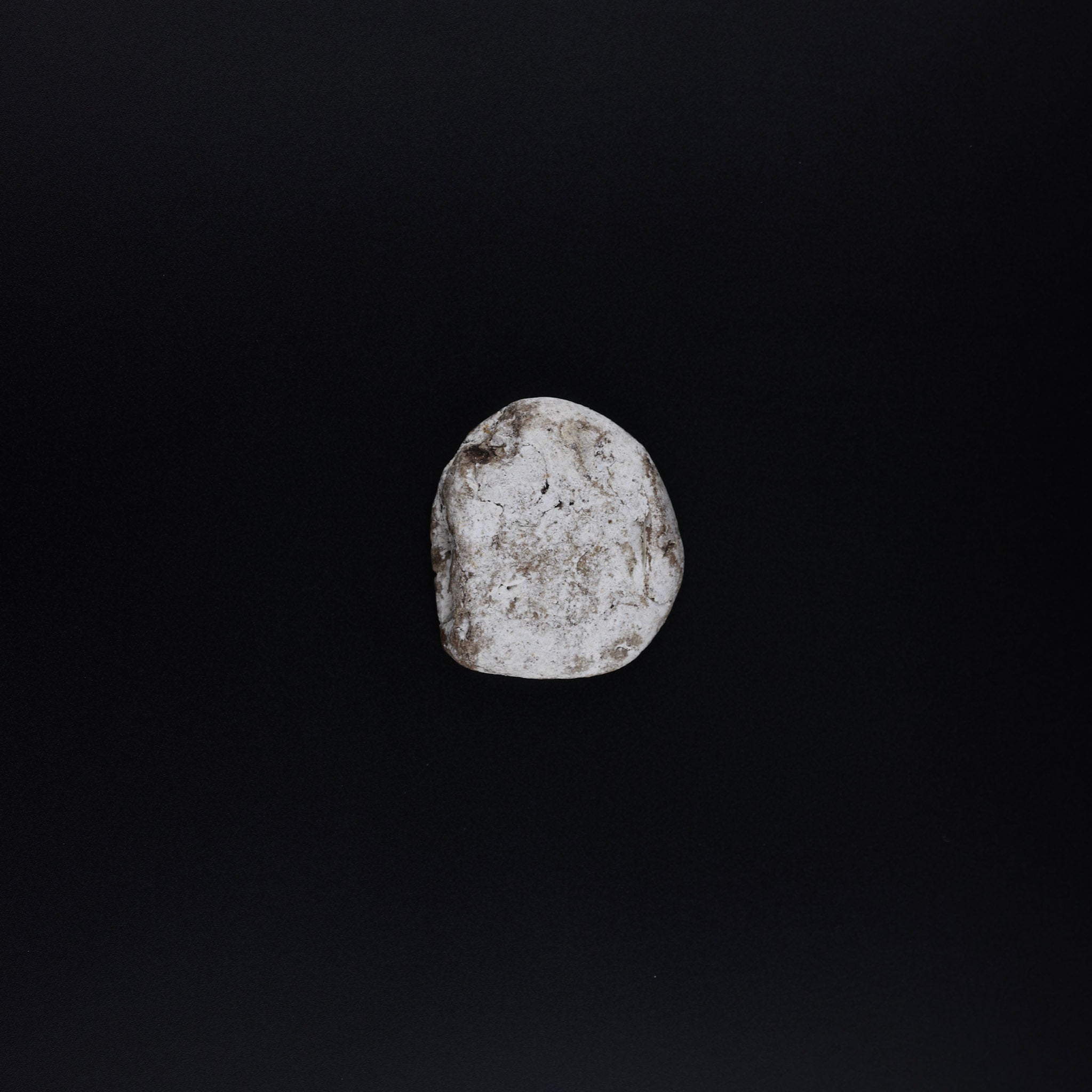 100% Ethical • Lab-Tested | White Ambergris