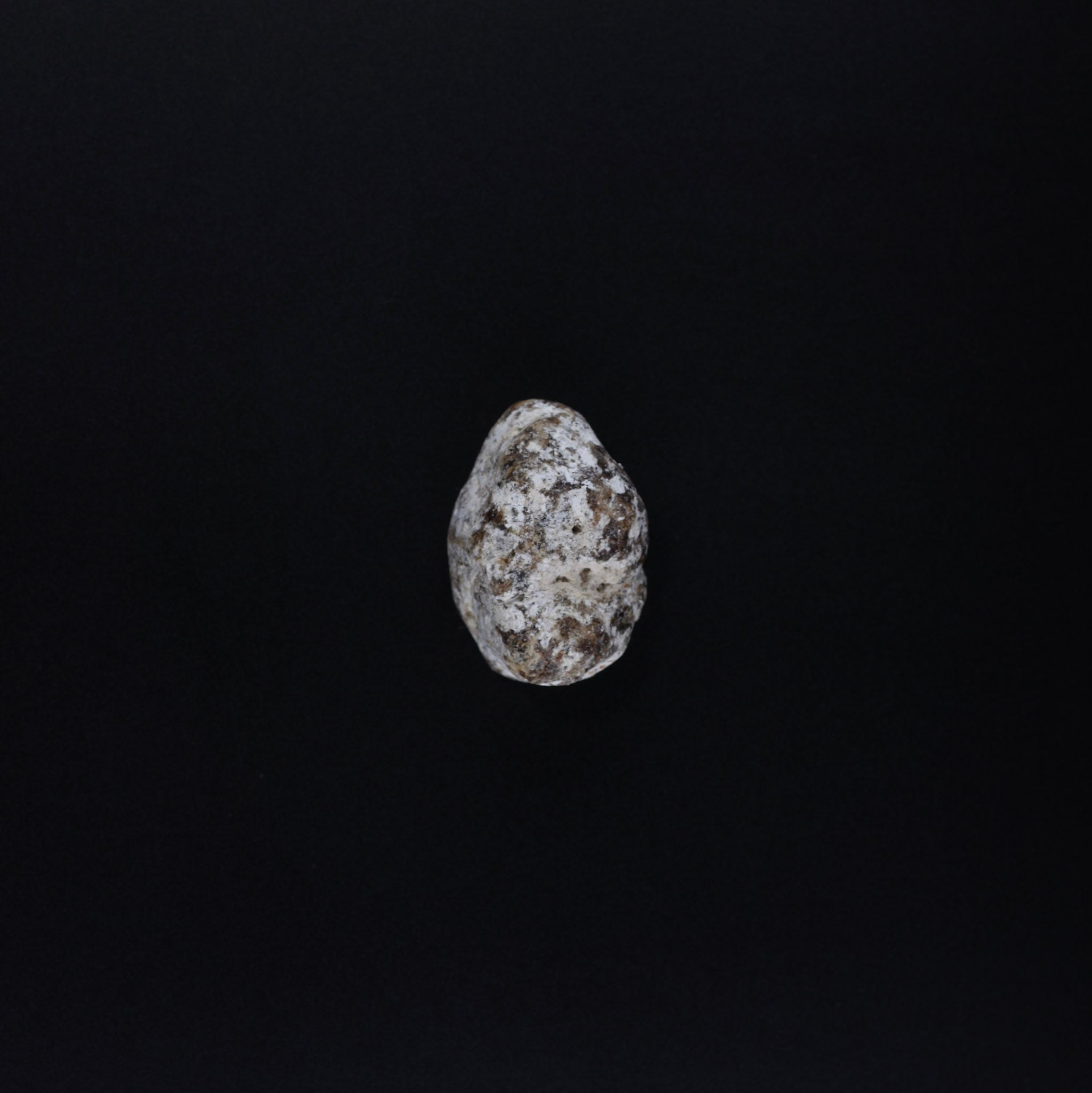 100% Ethical • Lab-Tested | White Ambergris