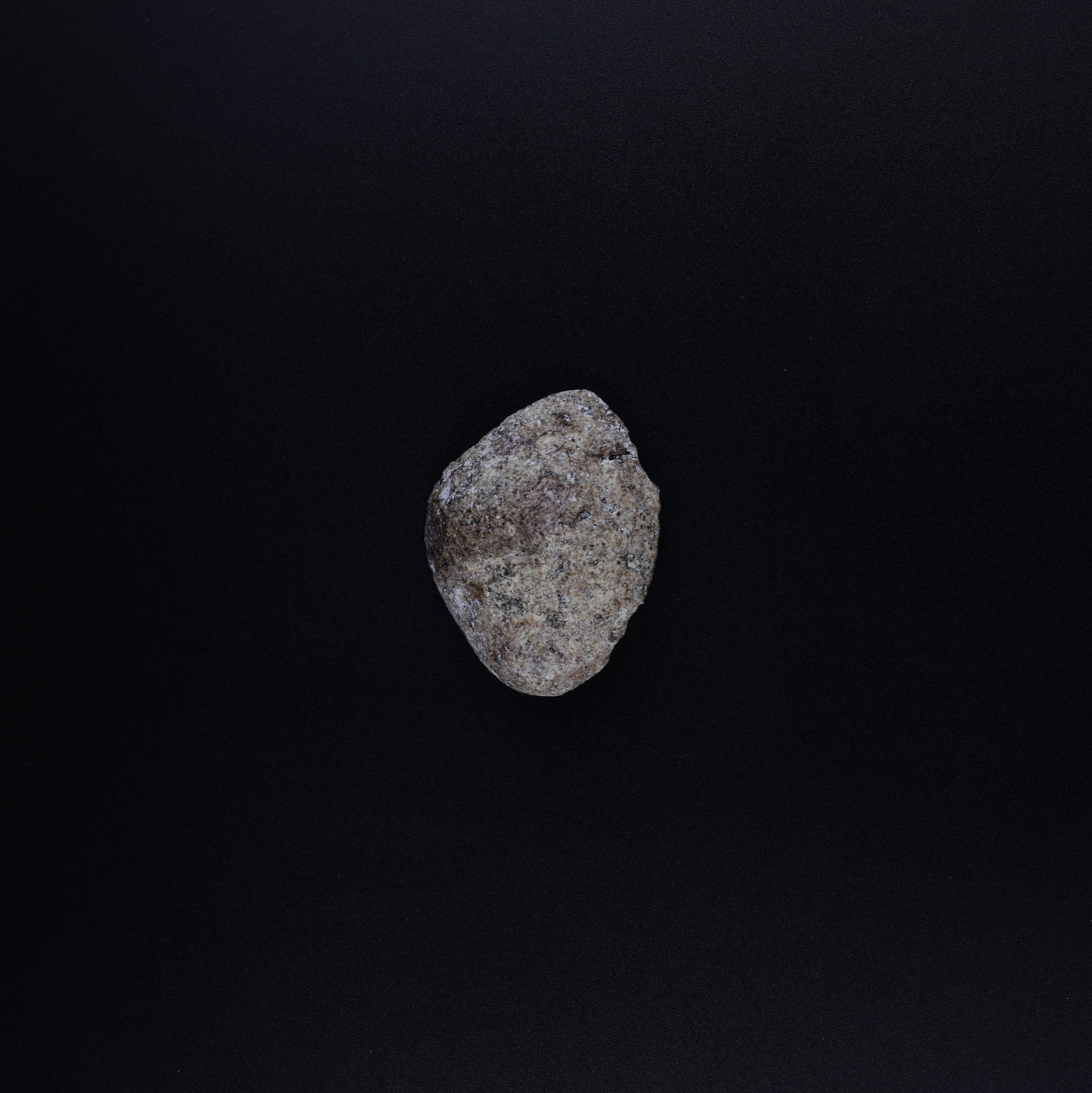 100% Ethical • Lab-Tested | White Ambergris