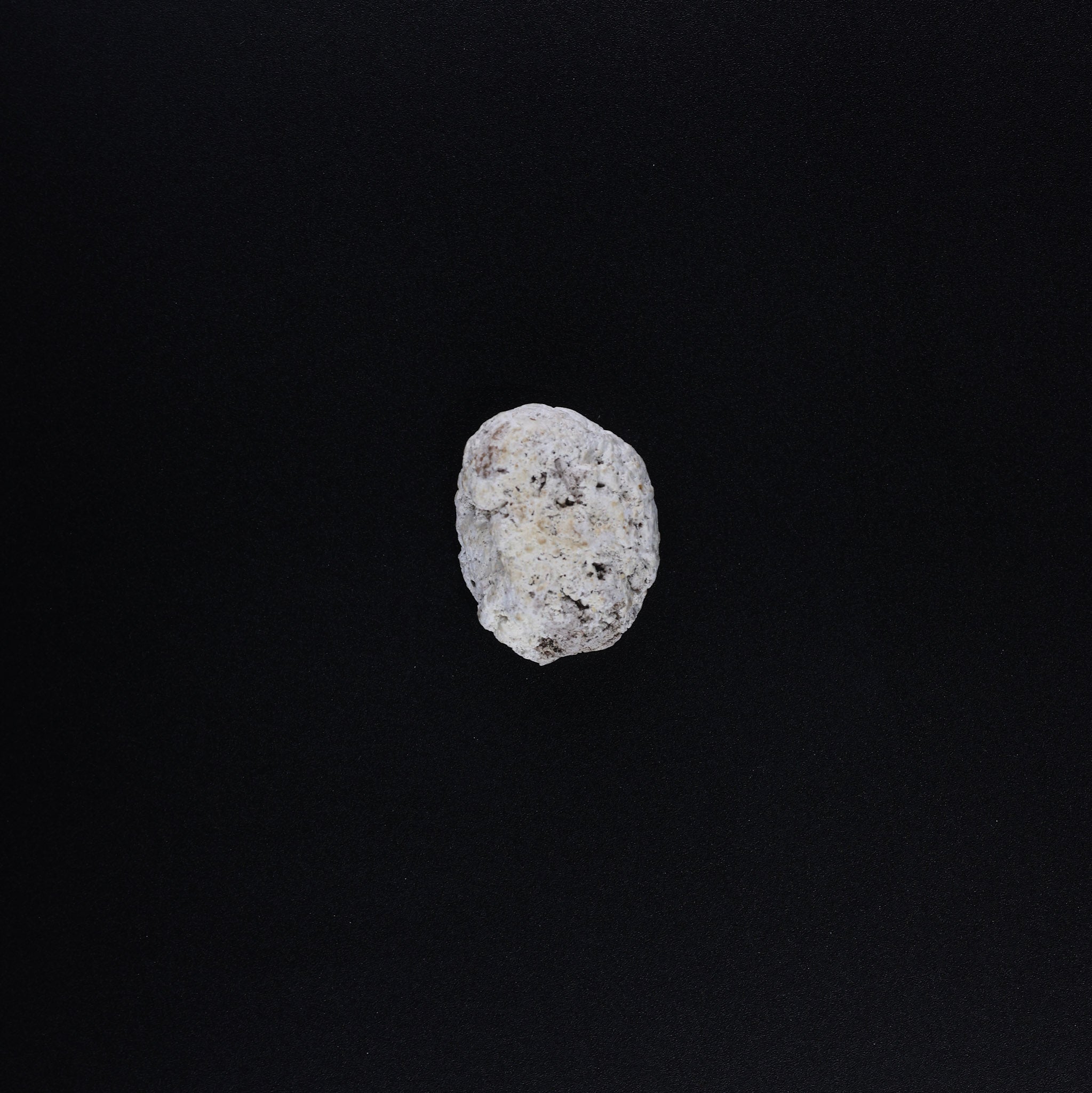 100% Ethical • Lab-Tested | White Ambergris