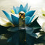 Japanese Blue Lotus Extremely Limited Batch Elegant Display