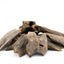Premium AAA | Kinam Kyara Agarwood