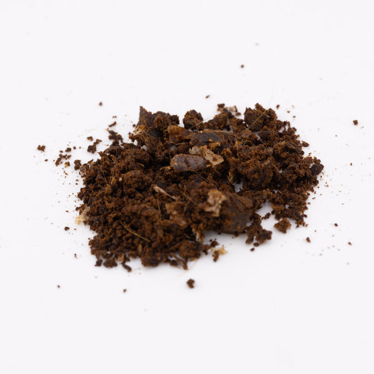 Ethical Deer Musk Lab Tested Raw