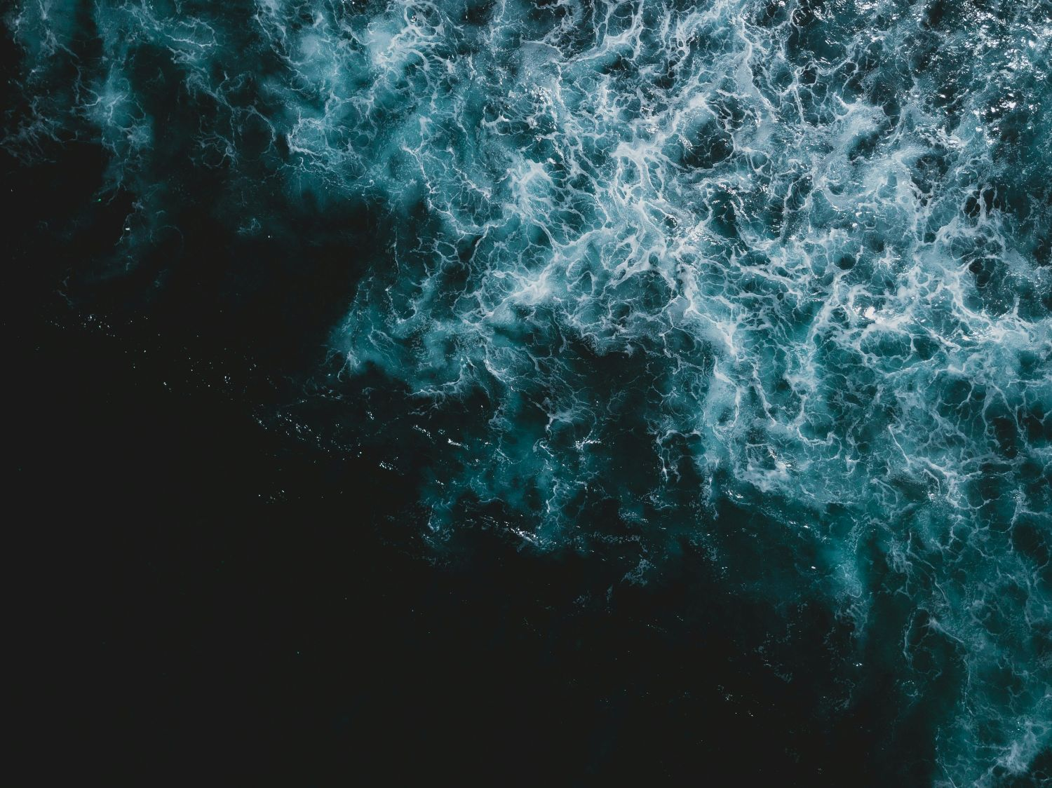 How To Store Ambergris?