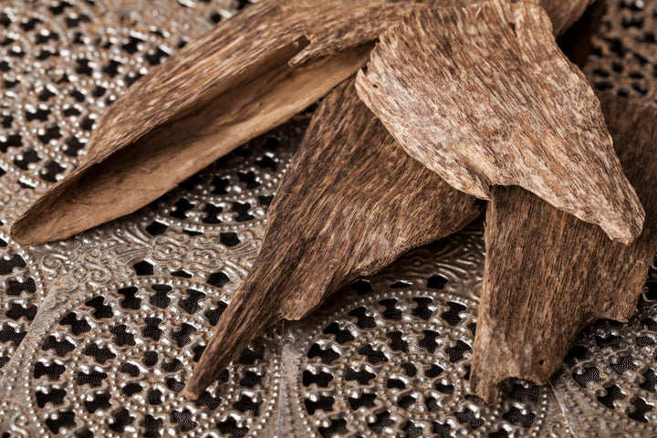 ambergris oud