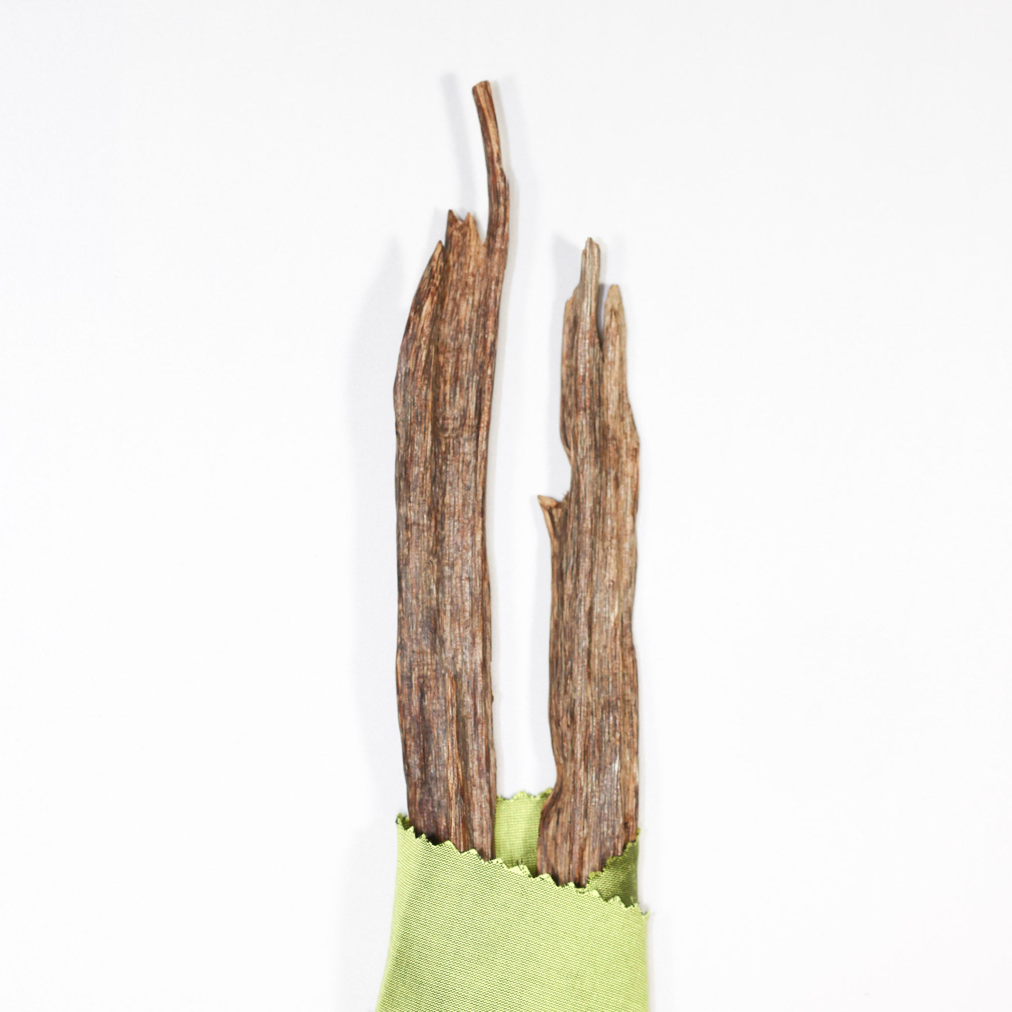 100% Untouched Natural Ethical Indian Agarwood Handpicked Resin