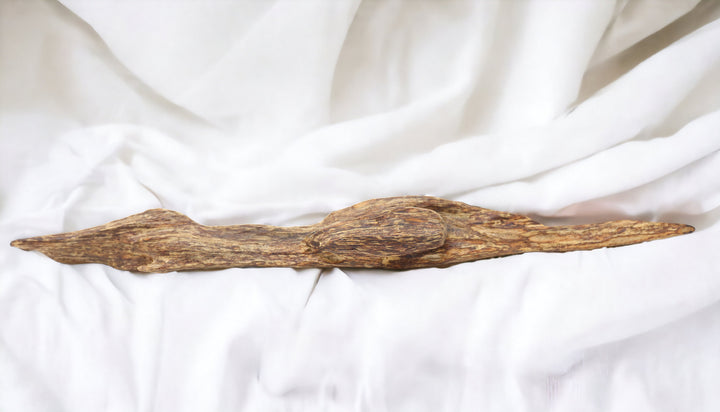 Superior Wild Hainan Agarwood Shu Xin Yu Display