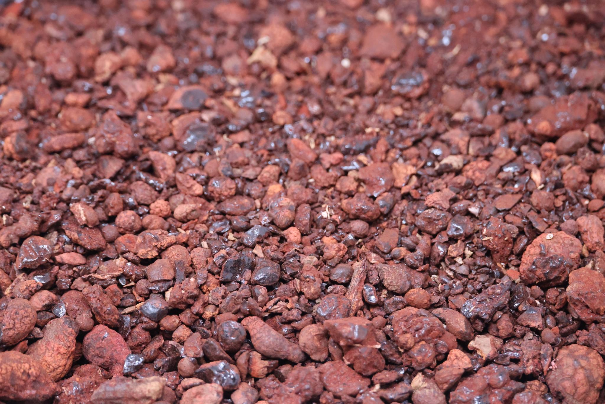 Dragon Blood From The Island Of Socotra Natural Resin