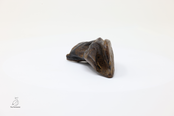 Rare Wild Cambodian Agarwood Heart Of The Tree Luxury Display