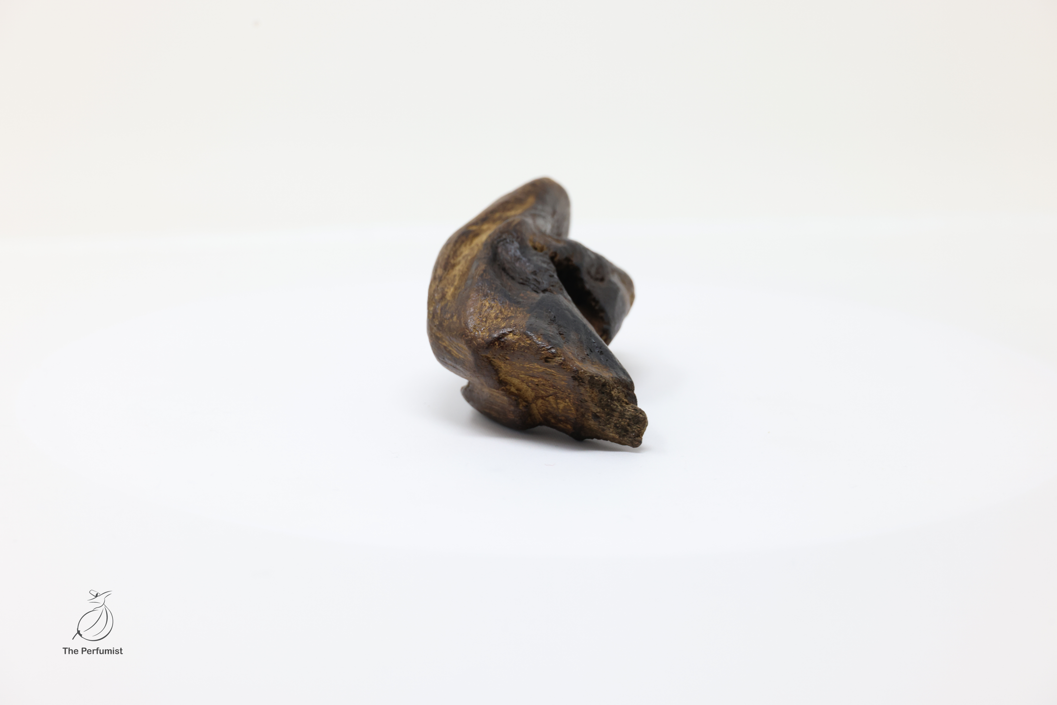 Rare Wild Cambodian Agarwood Heart Of The Tree Natural Resin