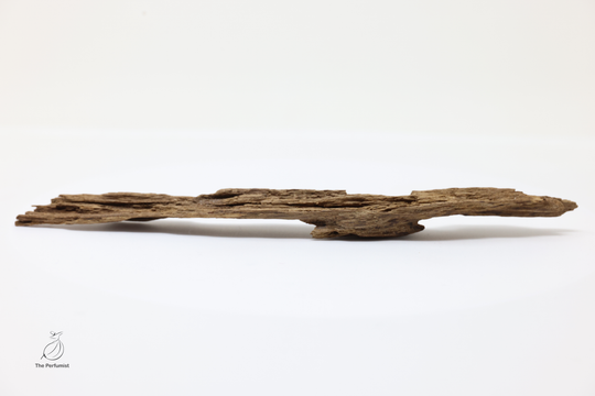 Ancient Wild Nha Trang Kinam Kyara Rare Resin