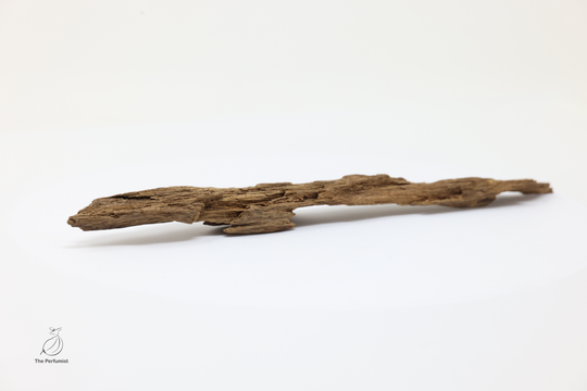 Ancient Wild Nha Trang Kinam Kyara Dark Brown Root