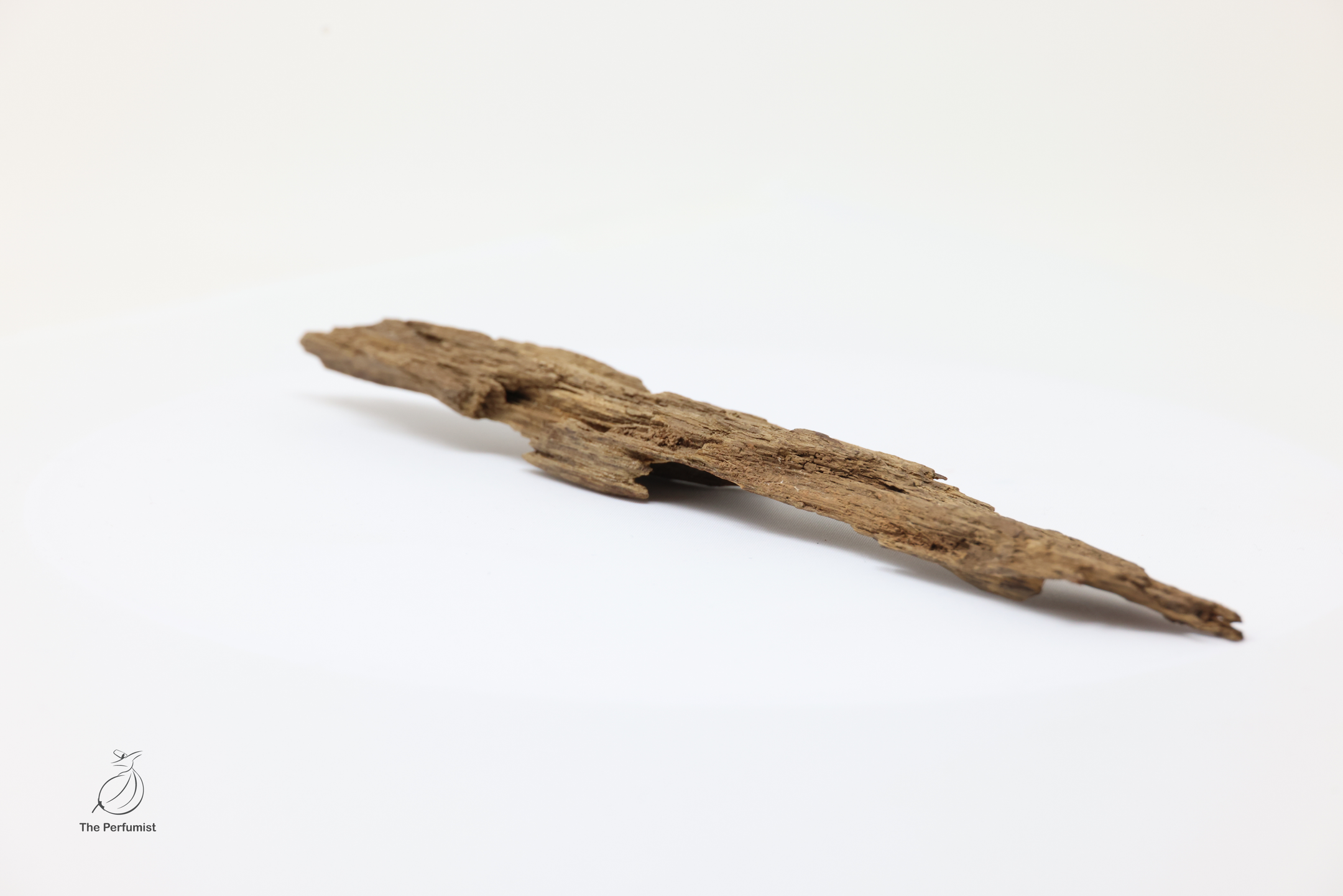 Ancient Wild Nha Trang Kinam Kyara Premium Specimen Display