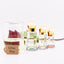 The Ultimate Rose oil Collections 100% Pure Rosa Damascena