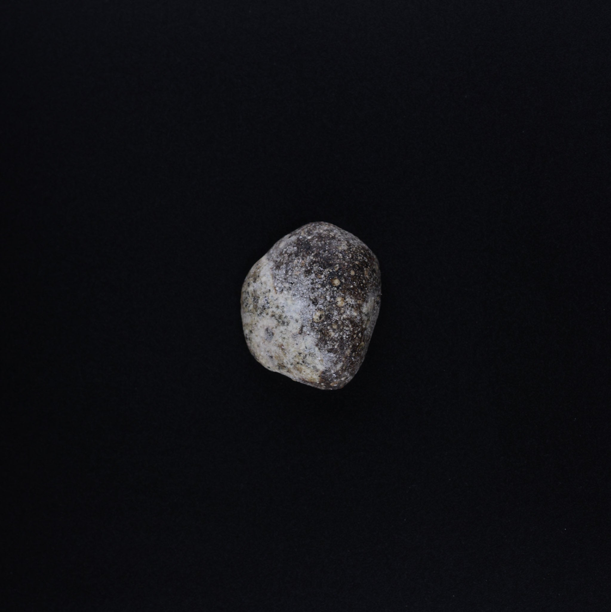100% Ethical • Lab-Tested | White Ambergris