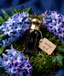 Amber Oud Theperfumist in flowers