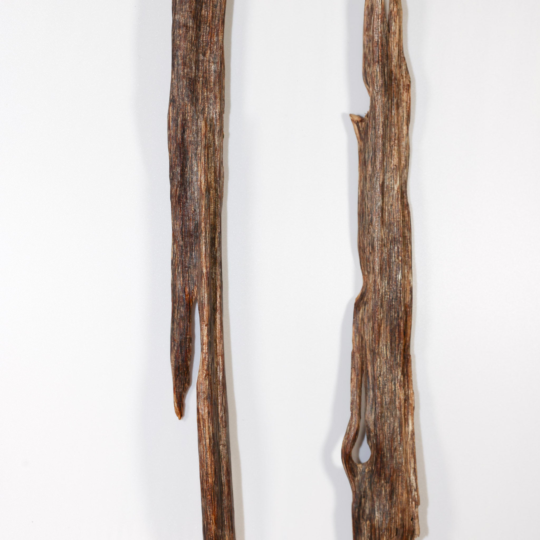 100% Untouched Natural Ethical Indian Agarwood Luxury Display