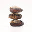 300-Year-Old Royal Musk Pods