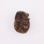300-Year-Old Royal Musk Pods - 3 unopened Pod (1 Pod of 12g) (1 Pod of 13g) (1 Pod of 15g)