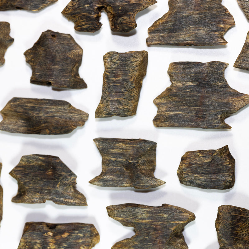 Premium AAA | Kinam Kyara Agarwood