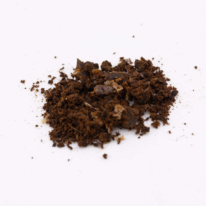 Ethical Deer Musk Lab Tested Raw