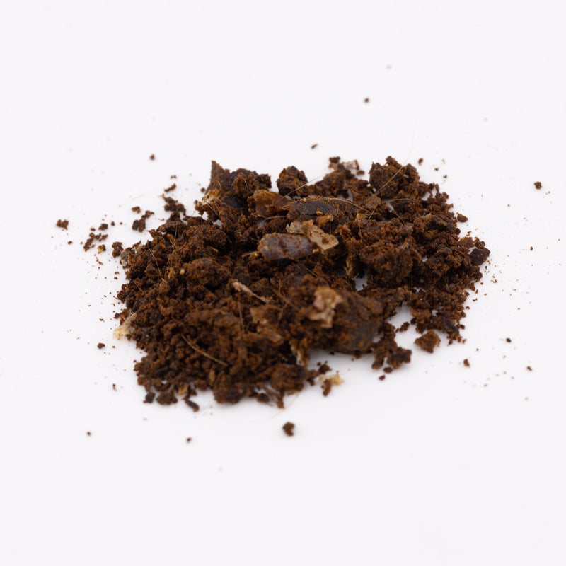 Ethical Deer Musk Lab Tested Raw