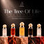 Five Tree of Life limited edition perfume oil bottles displayed on marble plinths