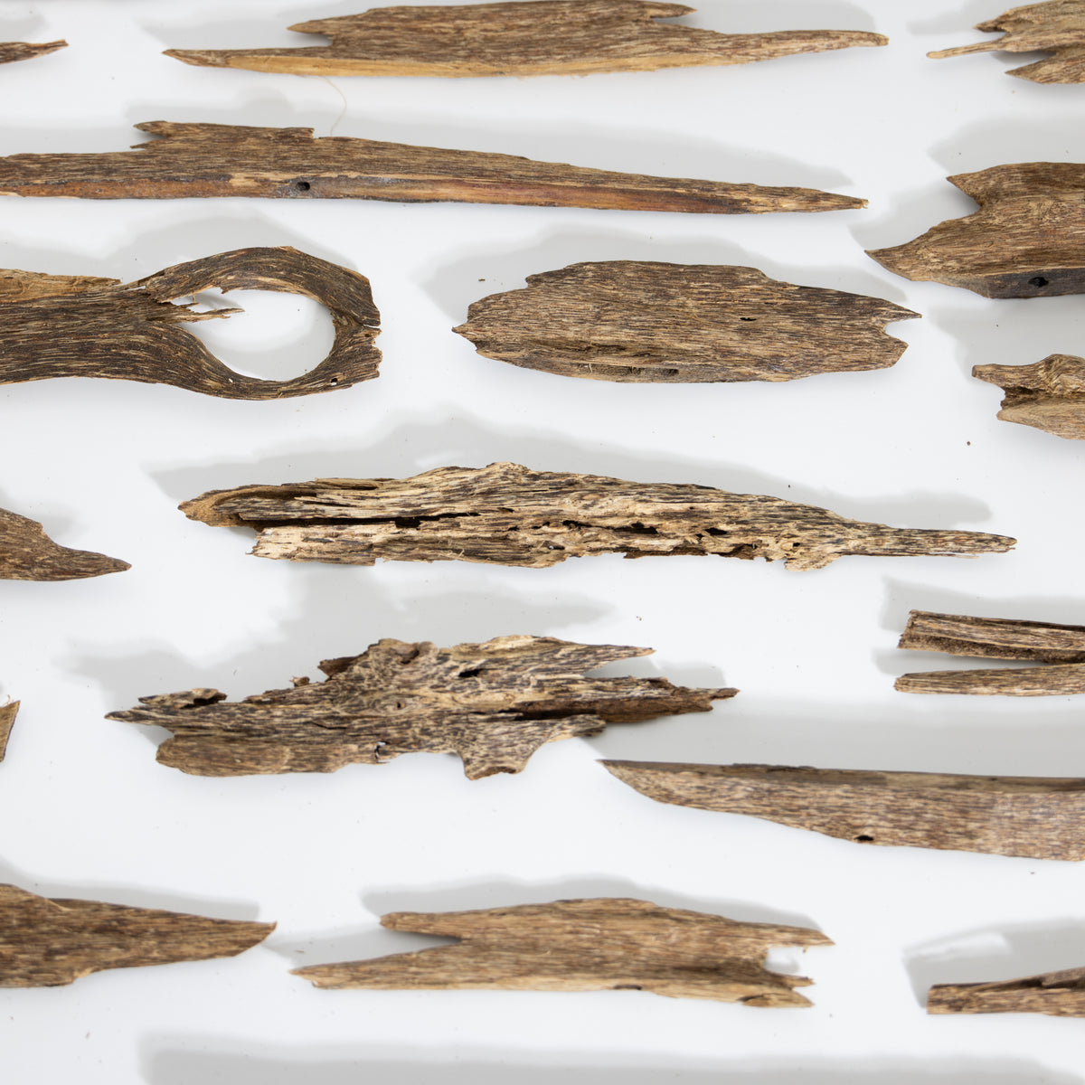 Natural agarwood chips and resinous wood slivers arranged on a white surface