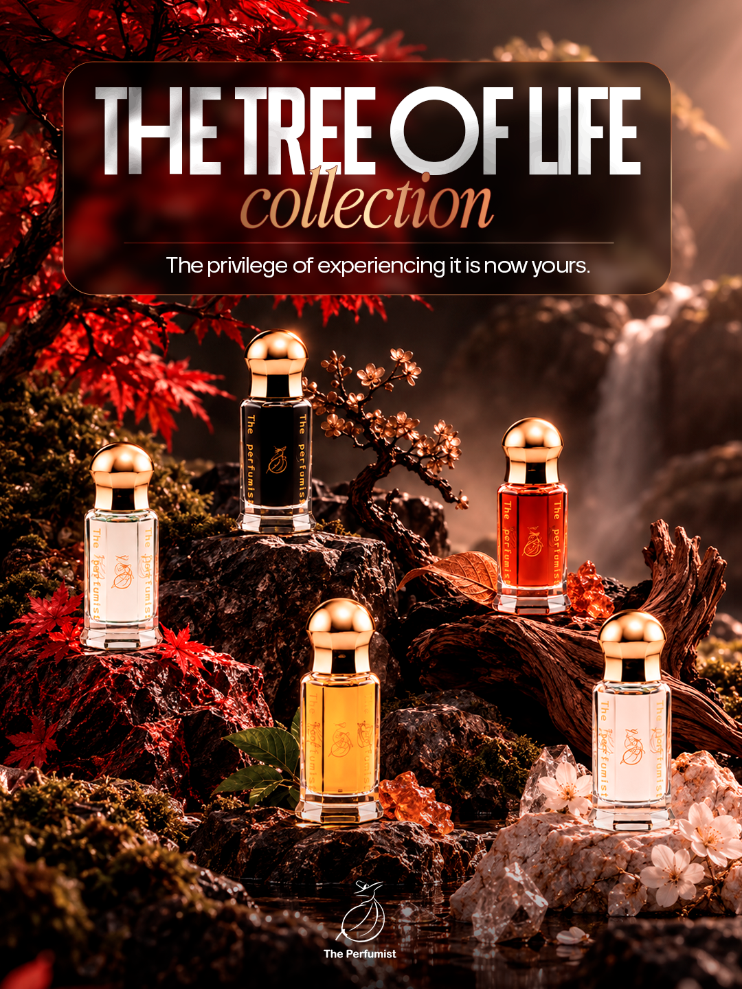 The Tree of Life — The Complete Collection | 99 Worldwide
