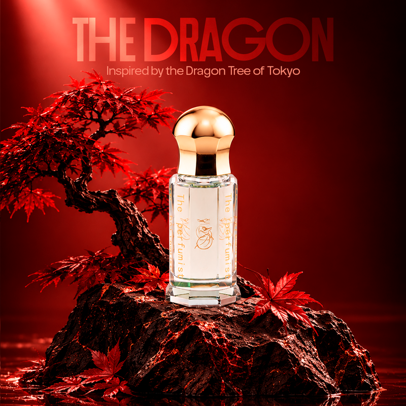 The Dragon - Wisdom - Heaven