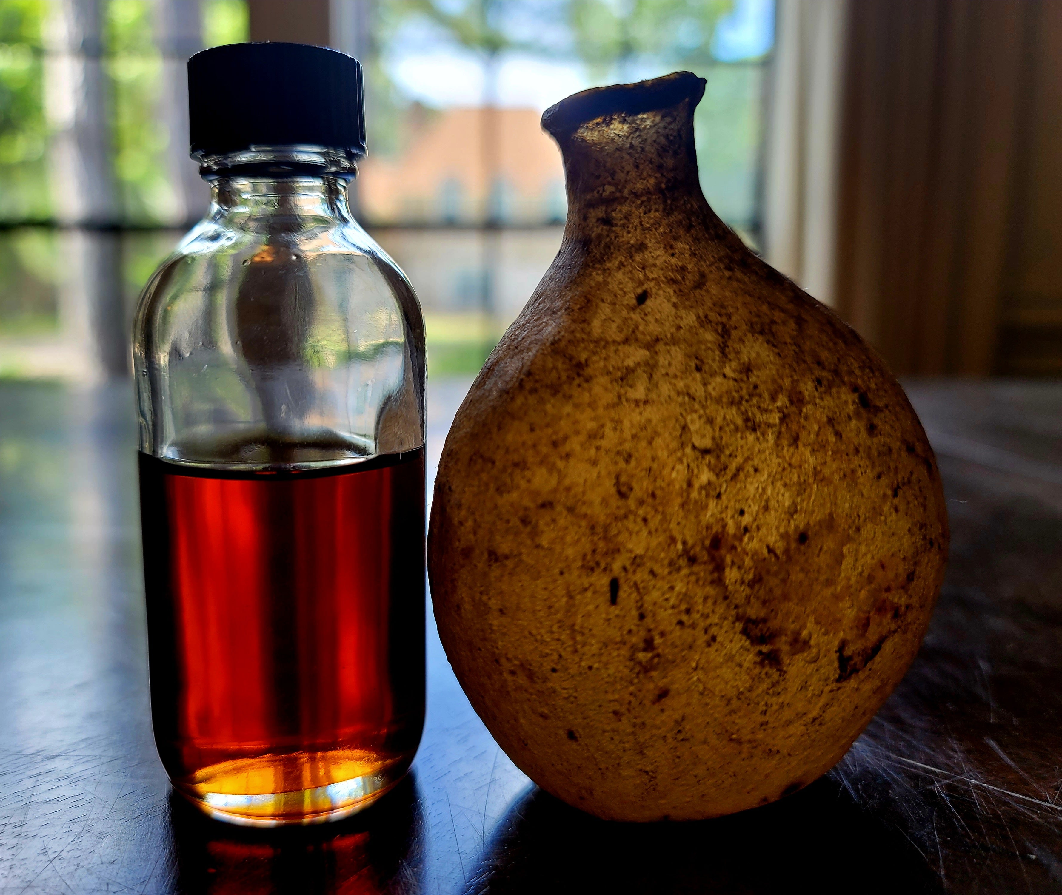 Bramha Kamala Gullab - Extremely limited batch