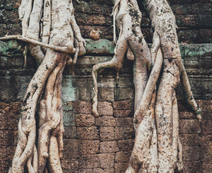Cambodian Royal Mix – CAM REMARKABLE - theperfumist - the house of the perfumist - royal attar