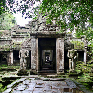 Cambodian Triple King 70-years-Old – CAM ROYAL - theperfumist - the house of the perfumist - royal attar