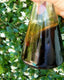 TEEB#2 Eid exclusive for preexisting customers only 100ML batch - theperfumist - the house of the perfumist - royal attar