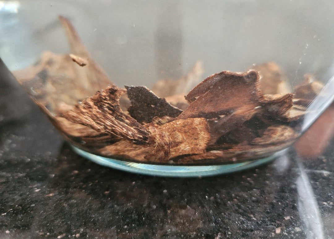 Vietnamese 100% wild, pure natural, sinking King agarwood, under the soil. - theperfumist